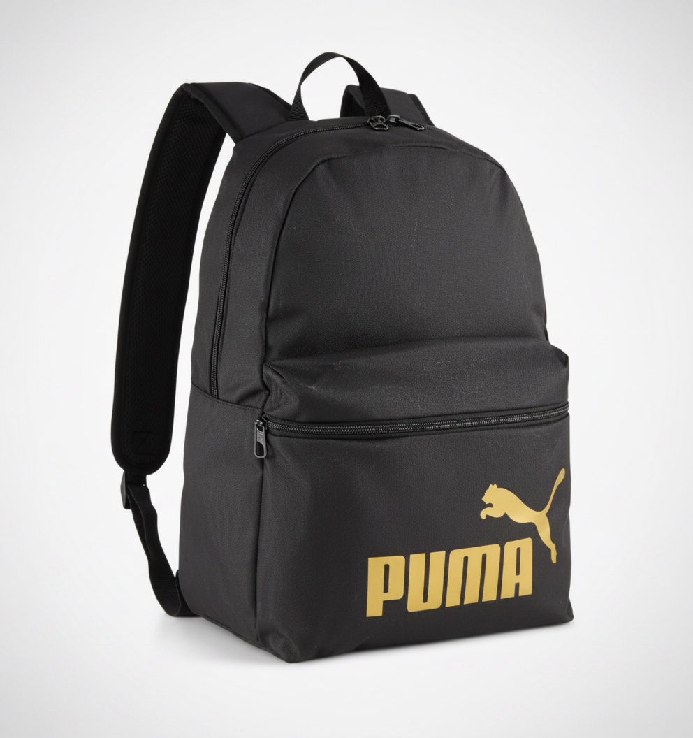 Sac a dos puma
