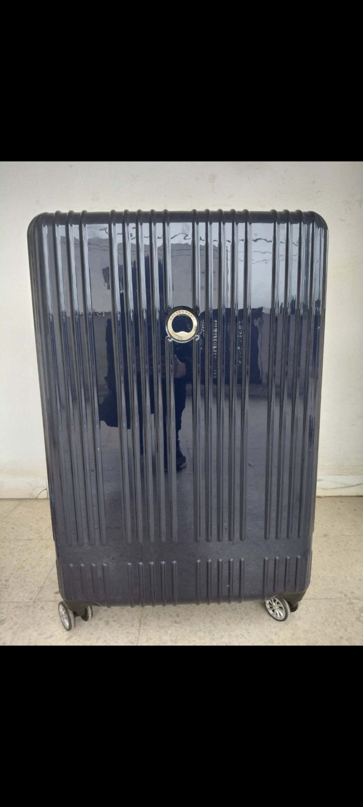Valise Delsey