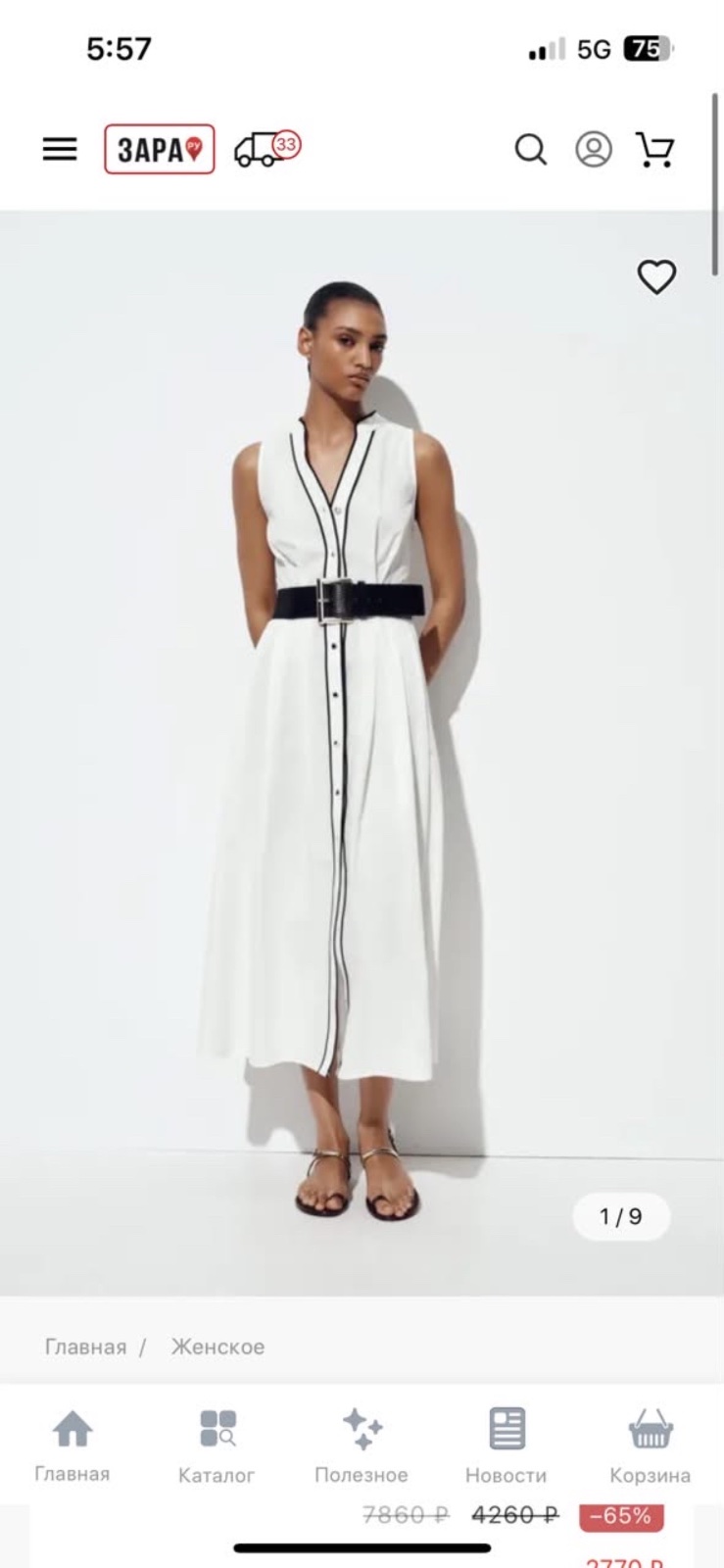 Zara dress