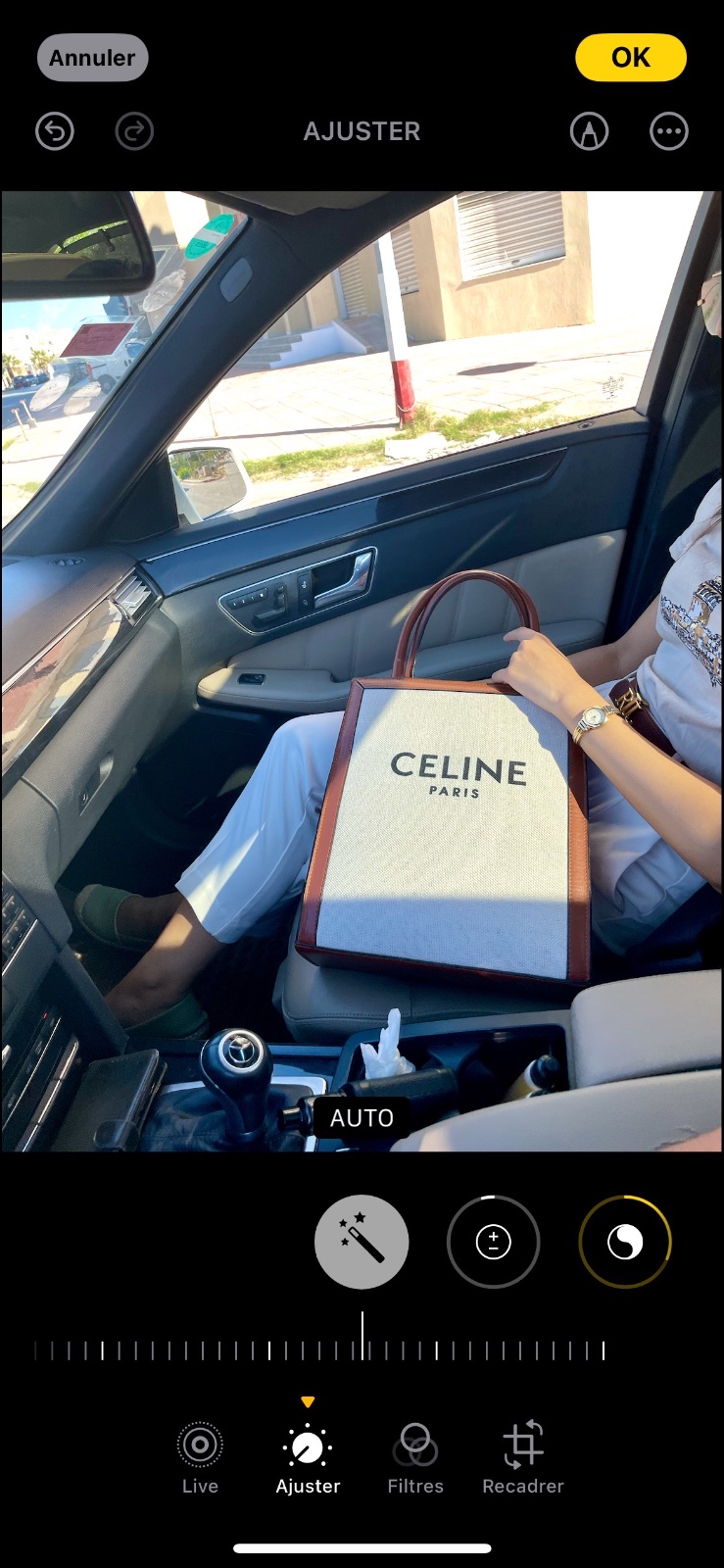 Celine s bag