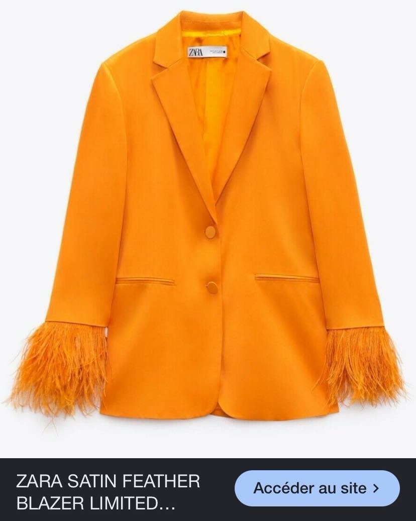 Blazer Zara 