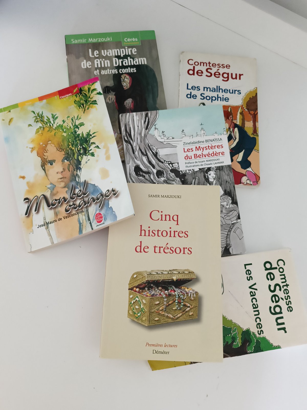 6  Livres français 