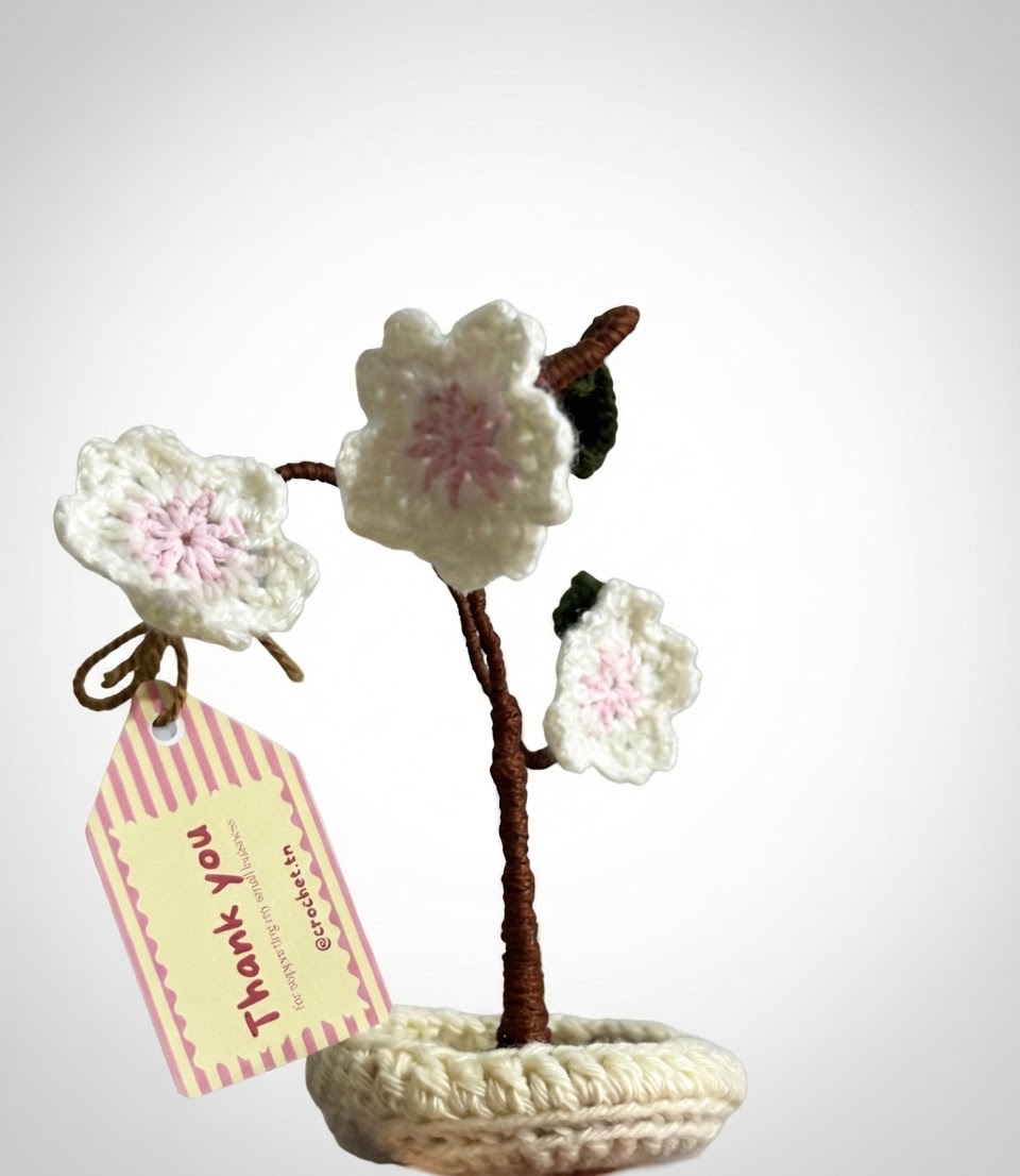 Cherry blossom