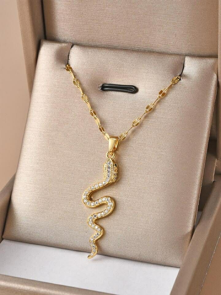 Collier inoxydable  🐍