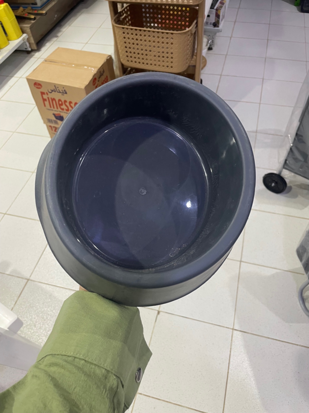 Gamelle pour les chats et les chiens