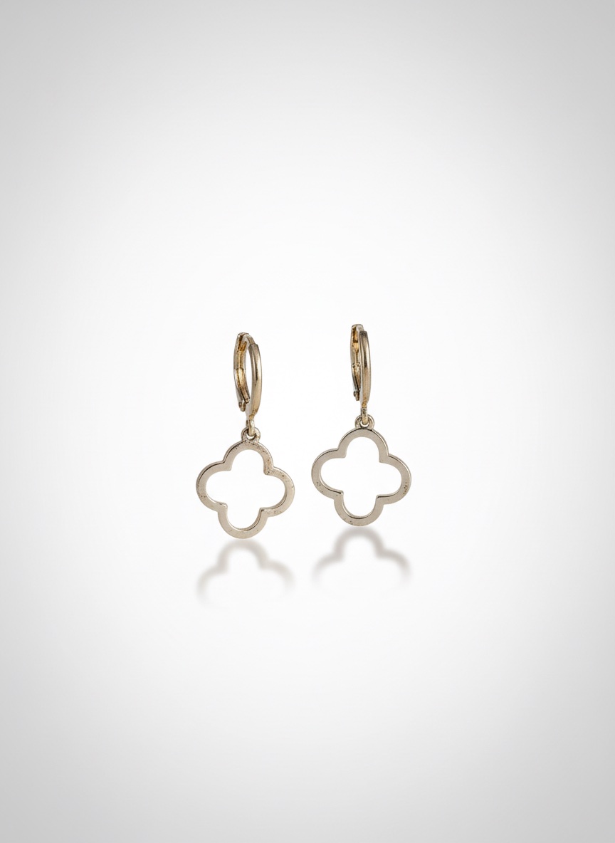 Boucles doreilles