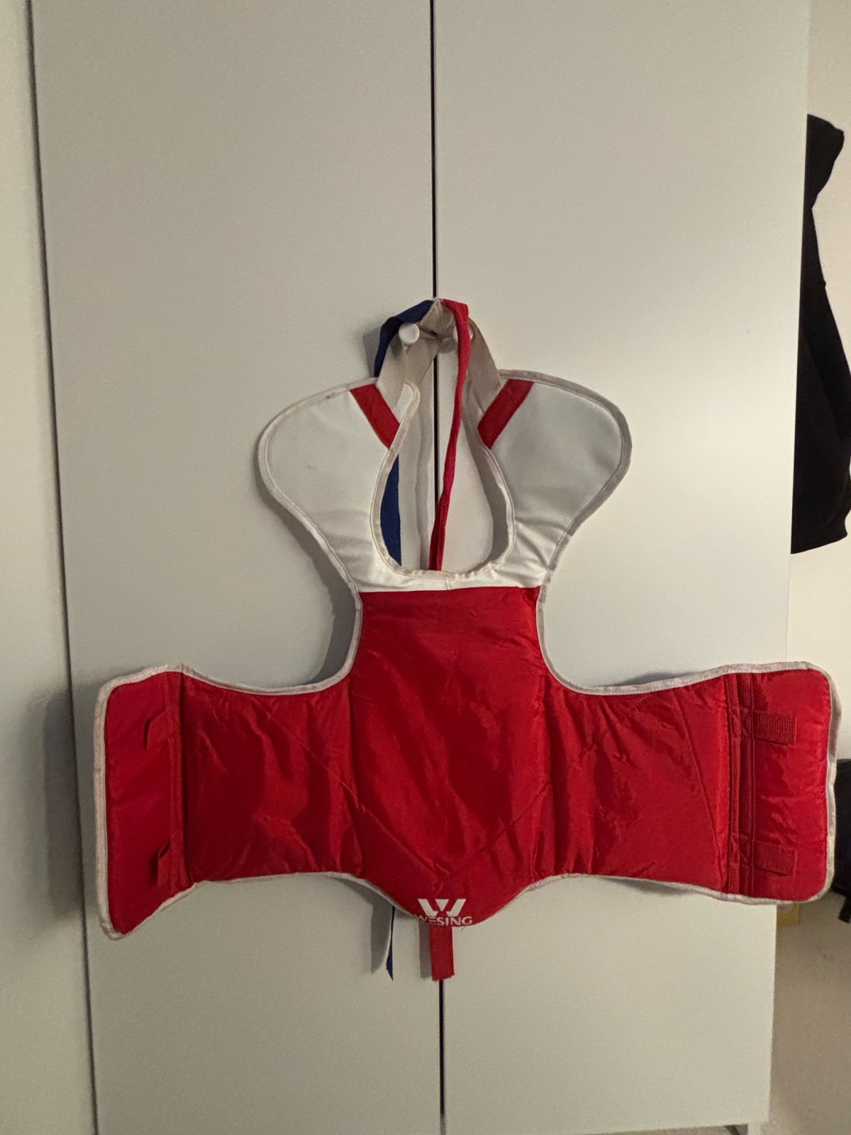Plastron de taekwondo enfant