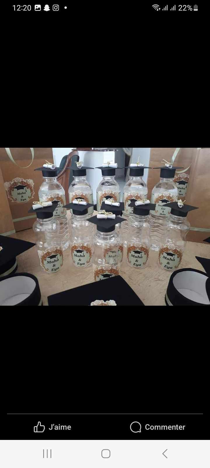 Lot de 10 bouteilles a jus