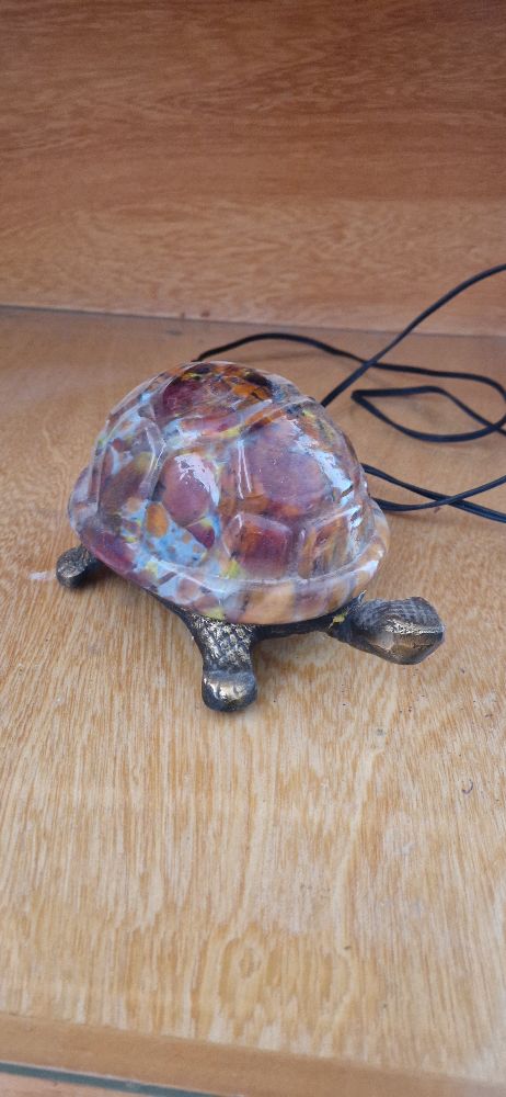Veilleuse 🐢🐢