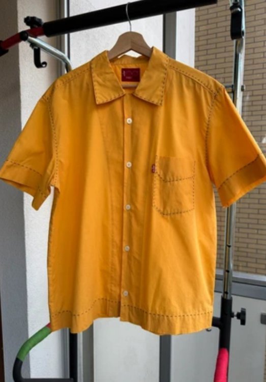 Levis type 1