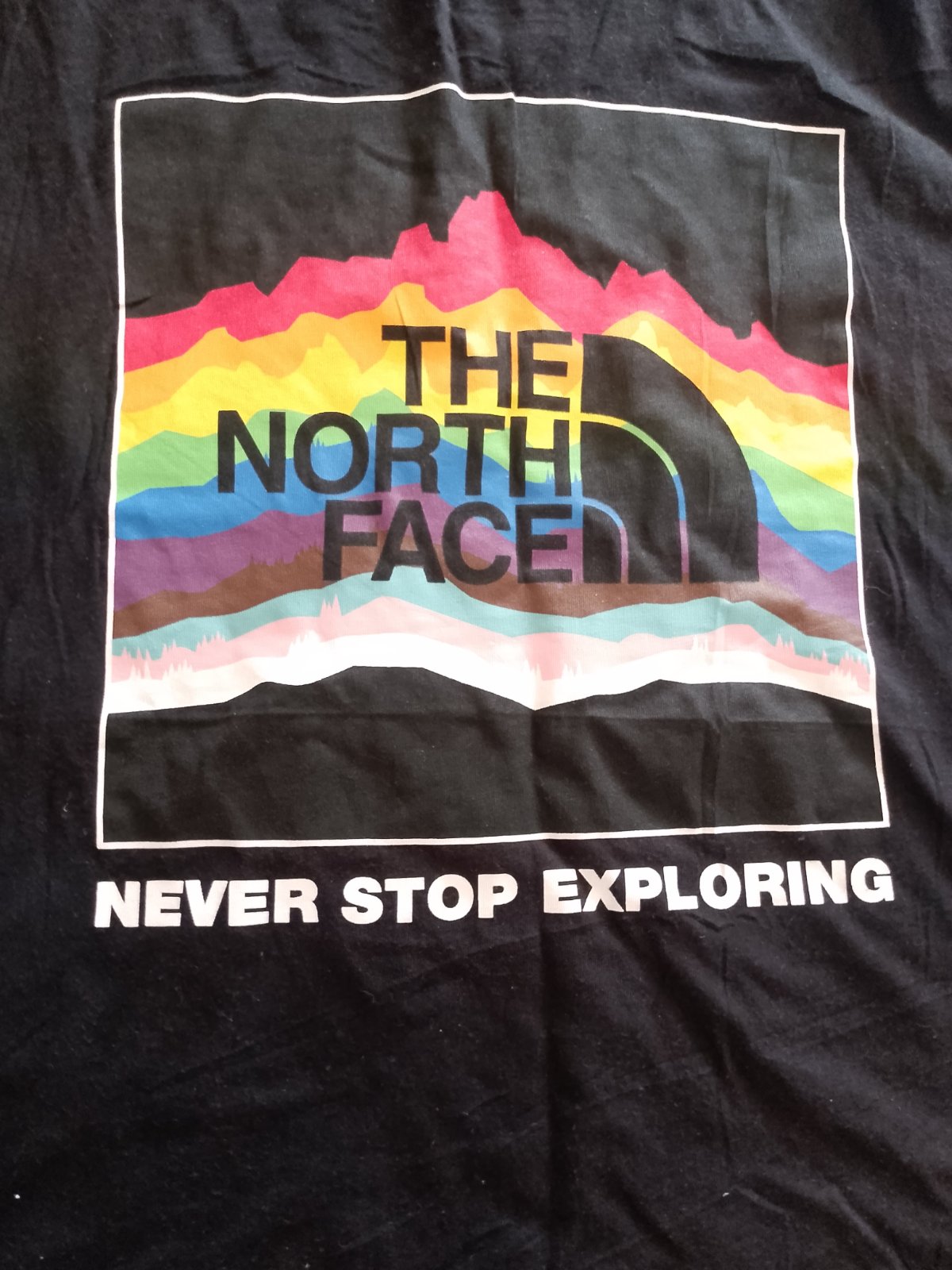 The north face authentique 