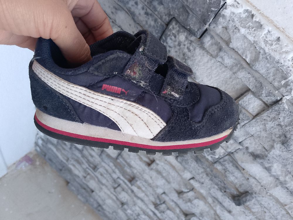 Basket puma
