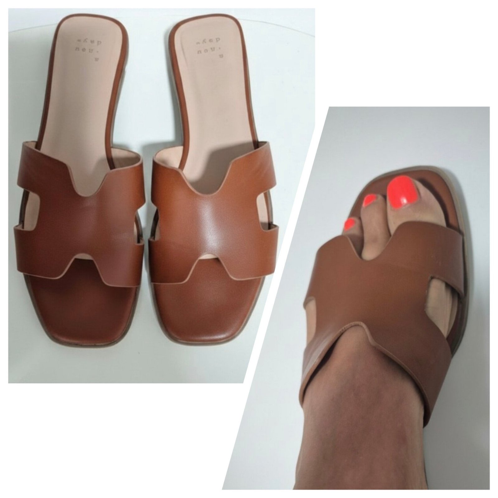 Mules