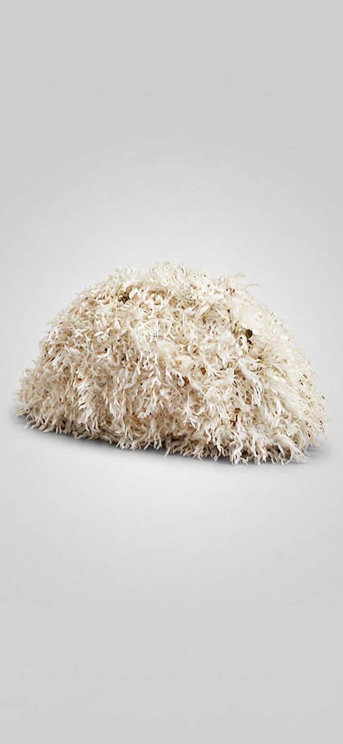 Sac à plumes anthropologie