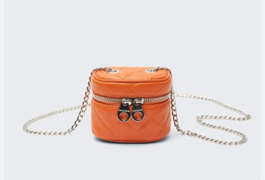 Un petit sac stradivarius