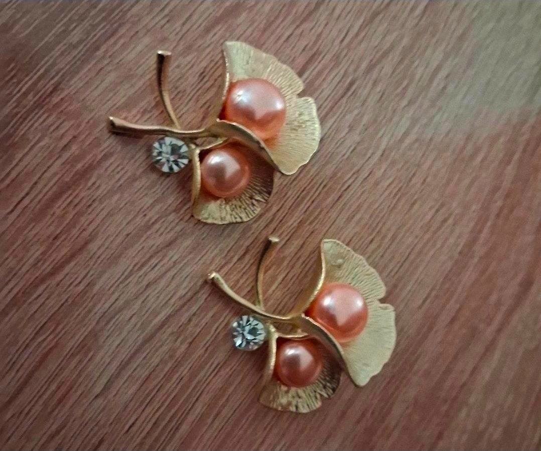 2 broches 