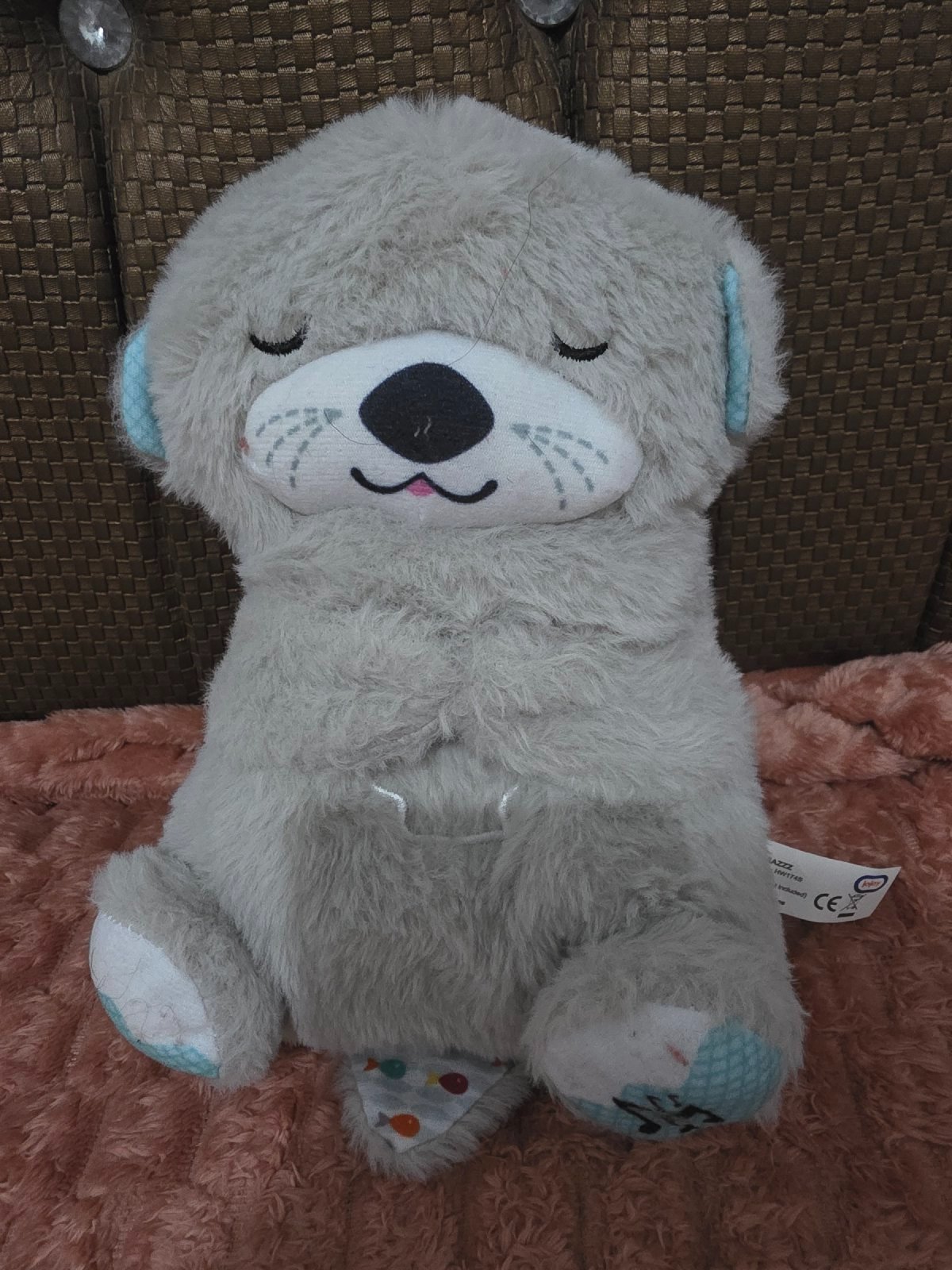 Koala musicale 