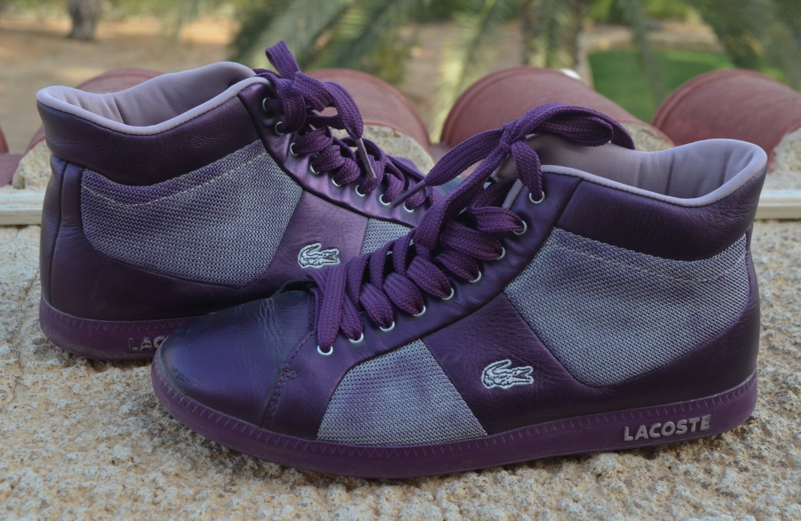 Baskets montantes Lacoste 