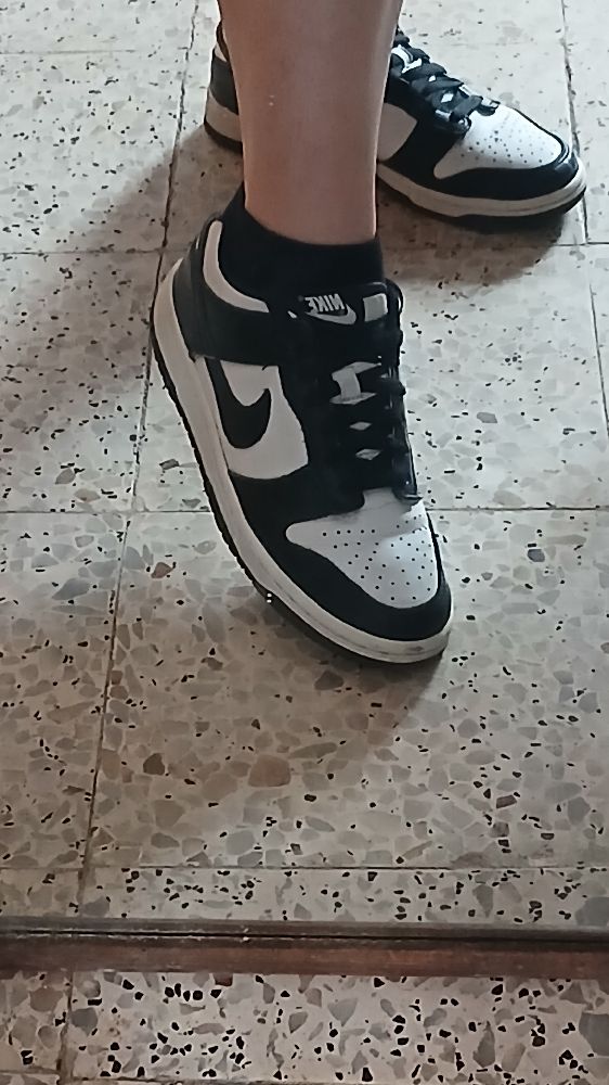 Nike dunk low
