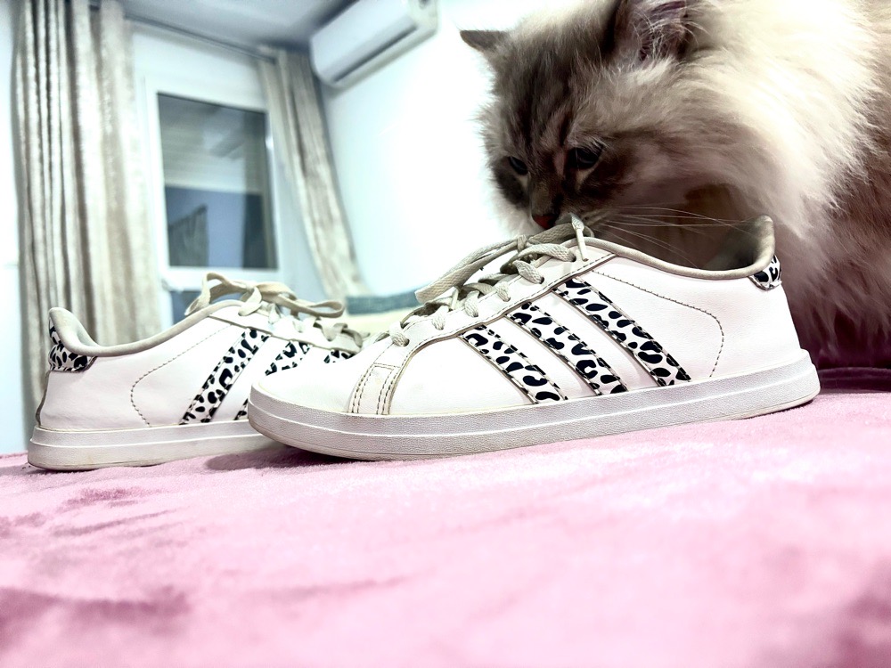 Espadrille adidas blanc