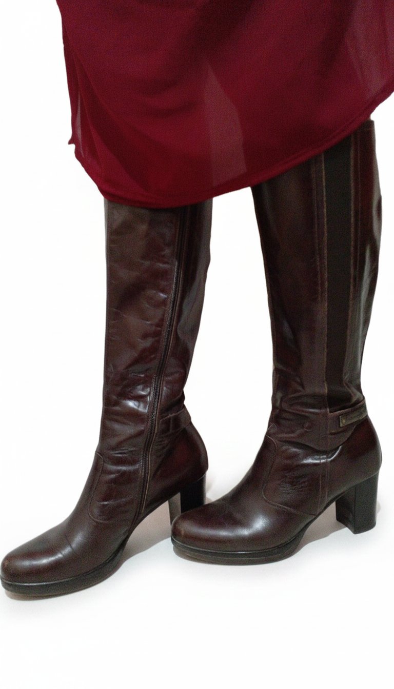 Bottes NeroGiardini