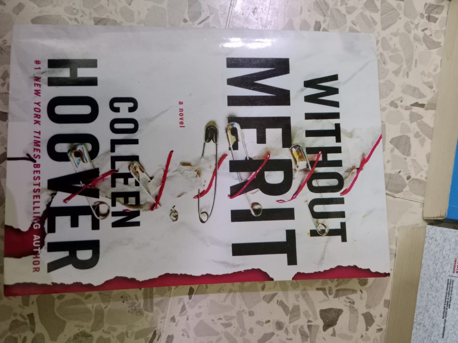 Without merit book