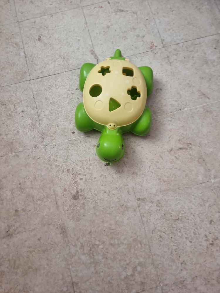 Jeu forme tortue FISHER PRICE