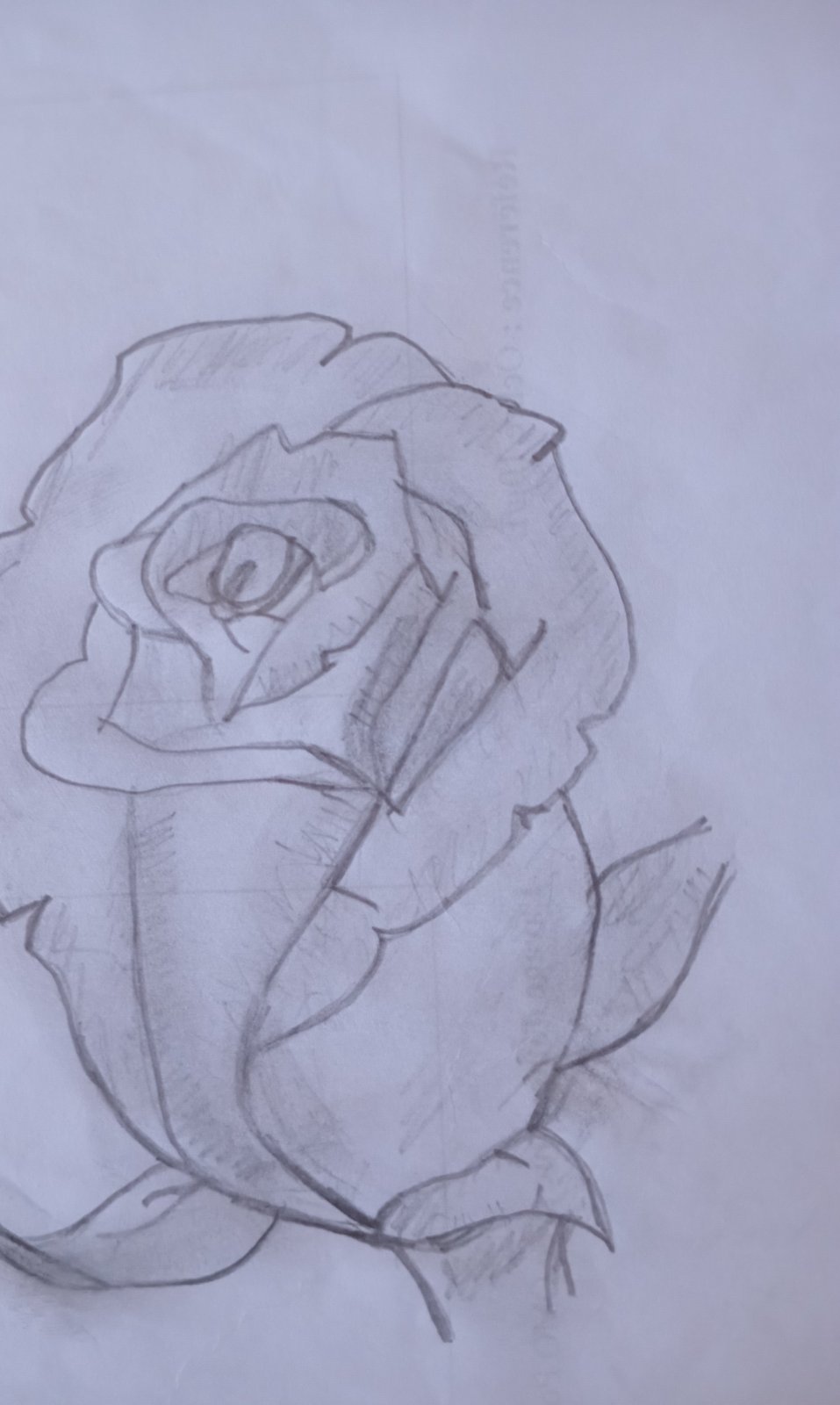 الرسم بقلم الرصاص 