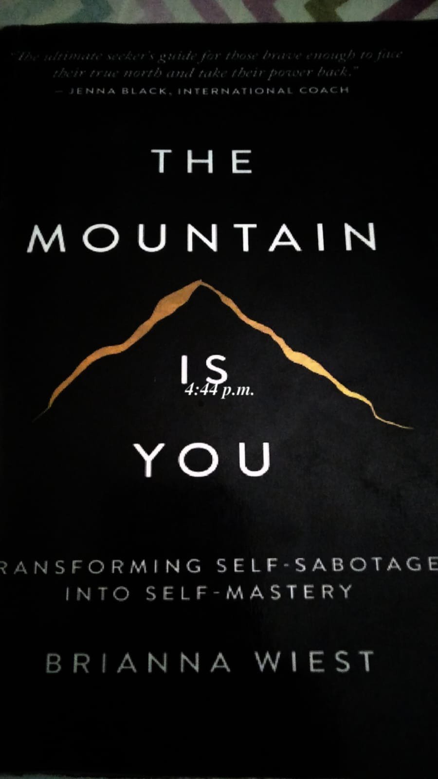 *The Mountain Is You - Brianna Wiest*