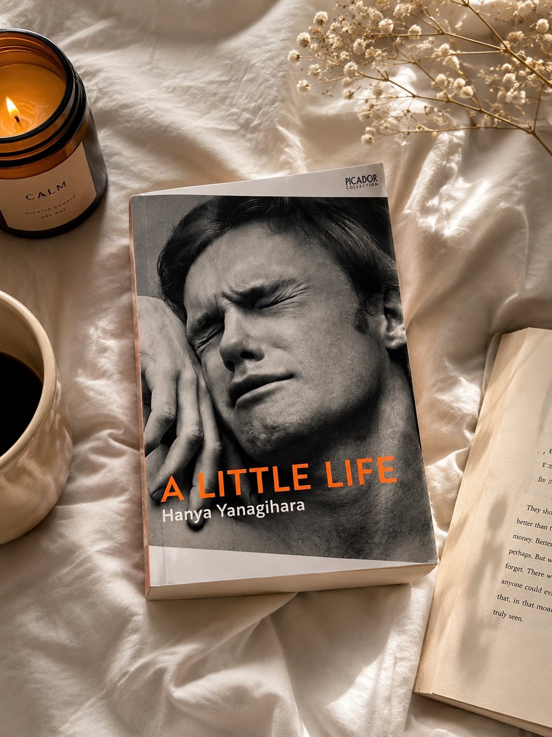 A Little Life de Hanya Yanagihara🤍