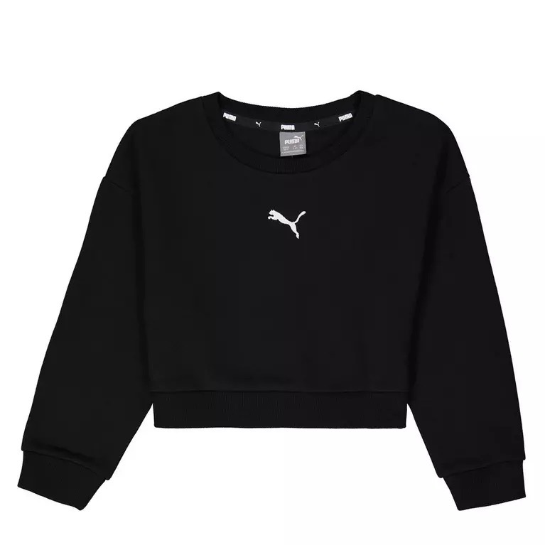 Puma Sweat à Capuche Essential