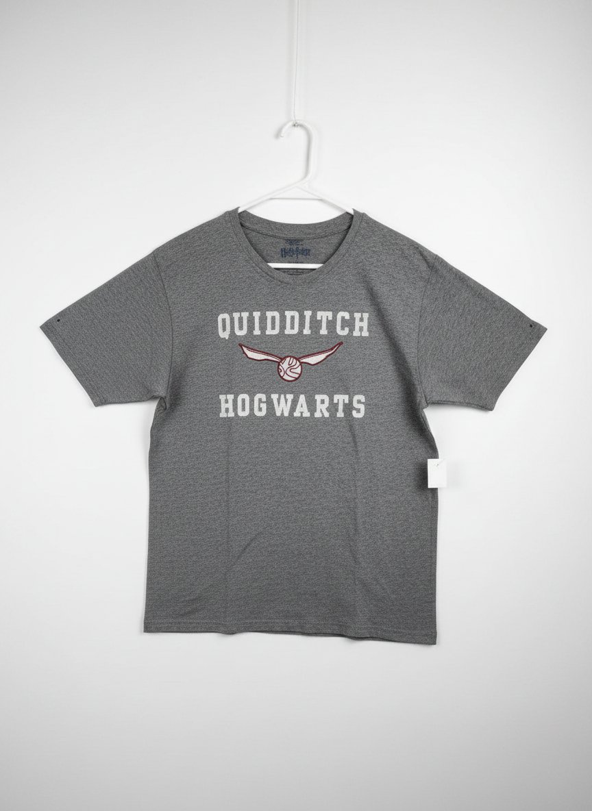 Harry Potter Quidditch Hogwarts 
