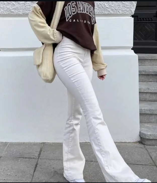 Pant