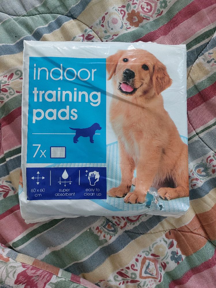 Tapis absorbant pour chien