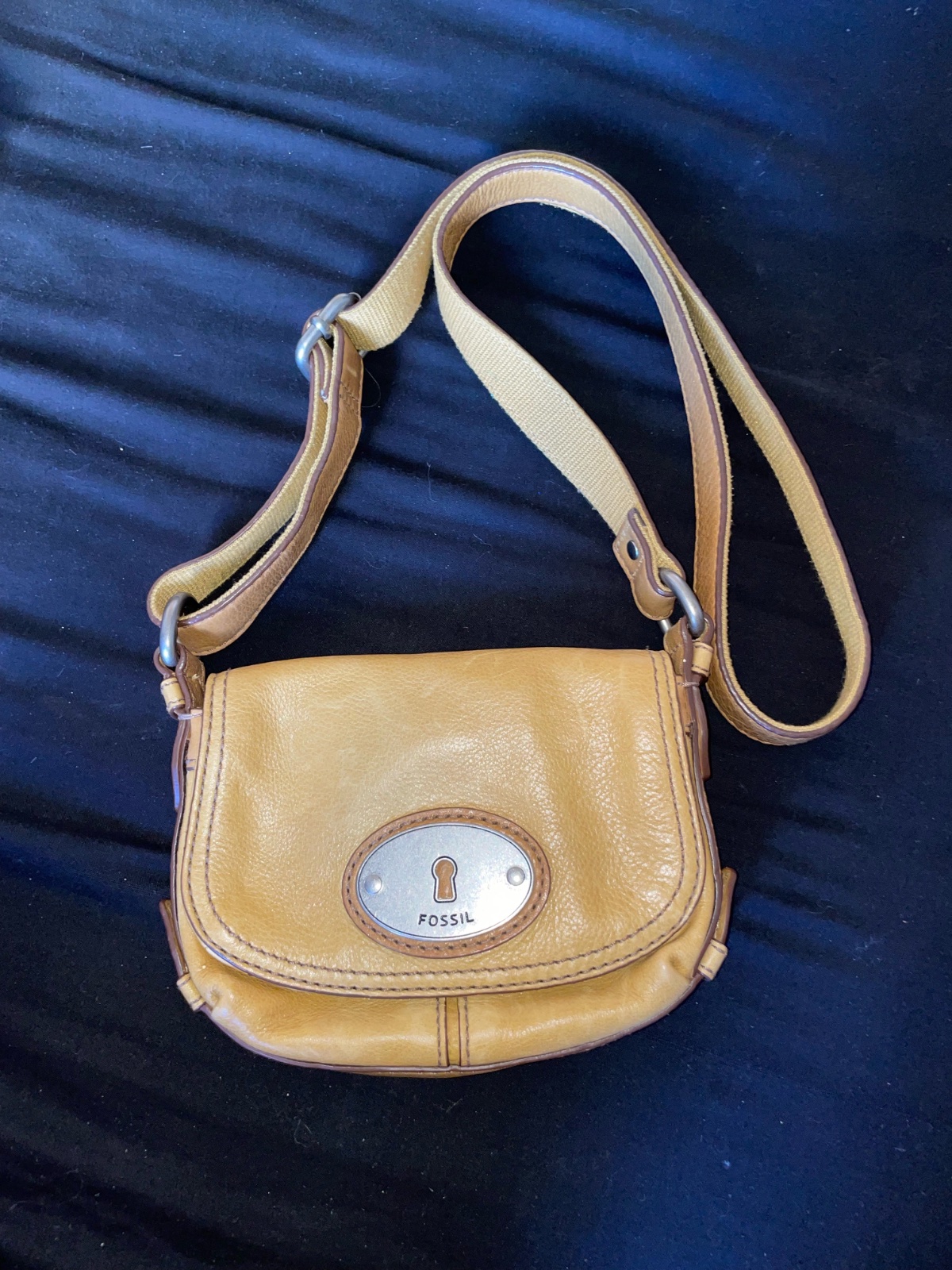 Sac fossil original