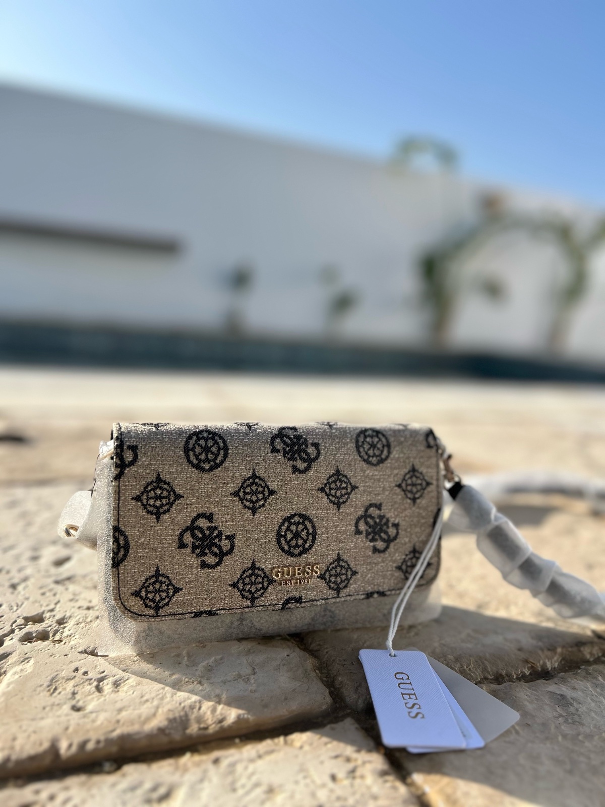 Sac Guess
