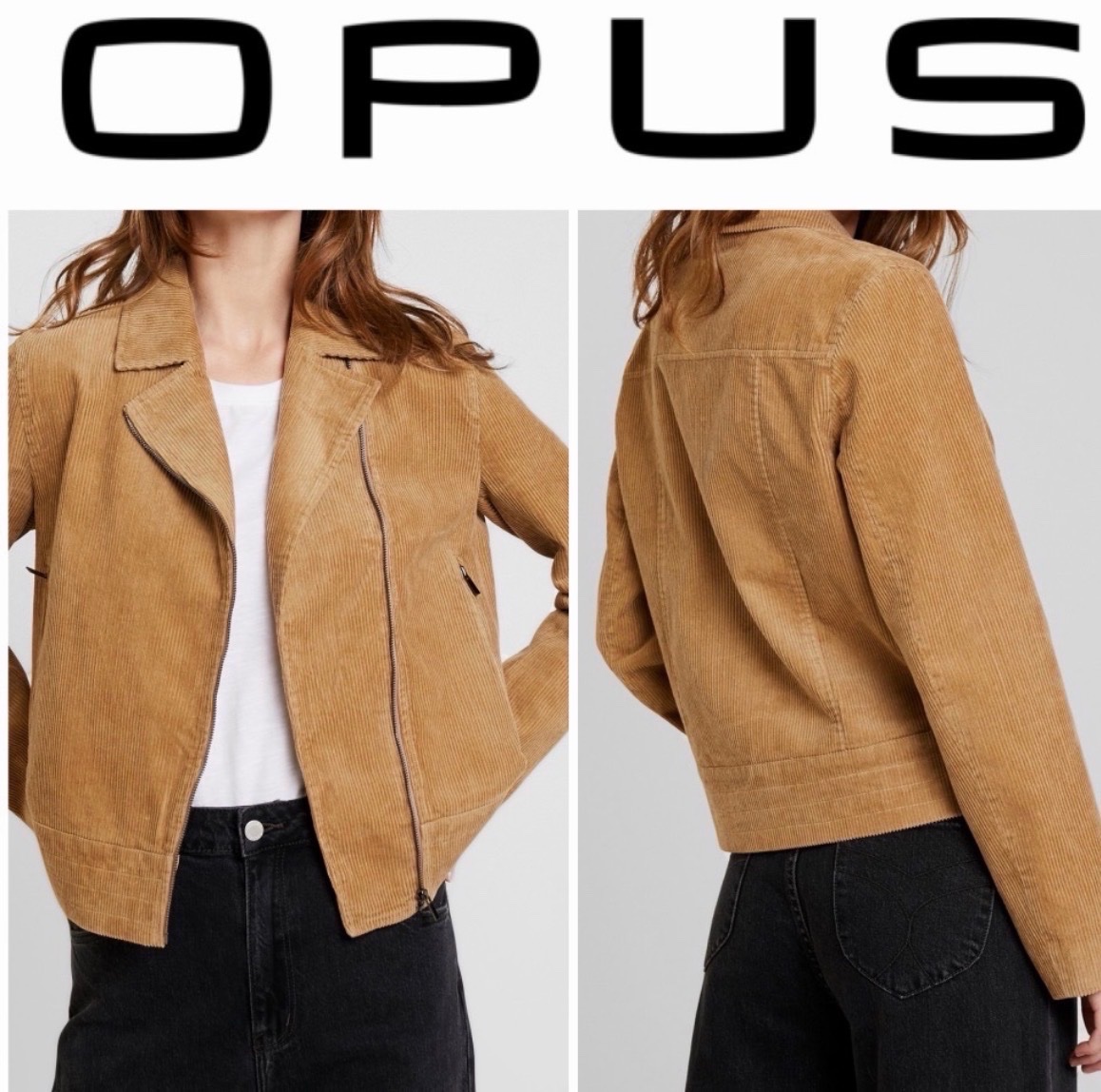 Veste OPUS 100% coton