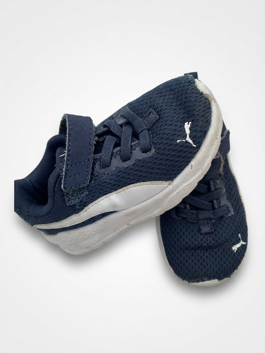 Basket puma