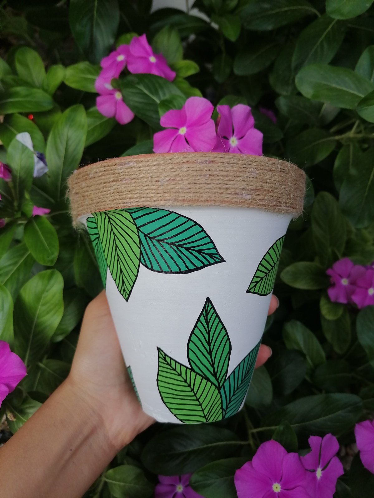 Pot des plantes 💚✨ 