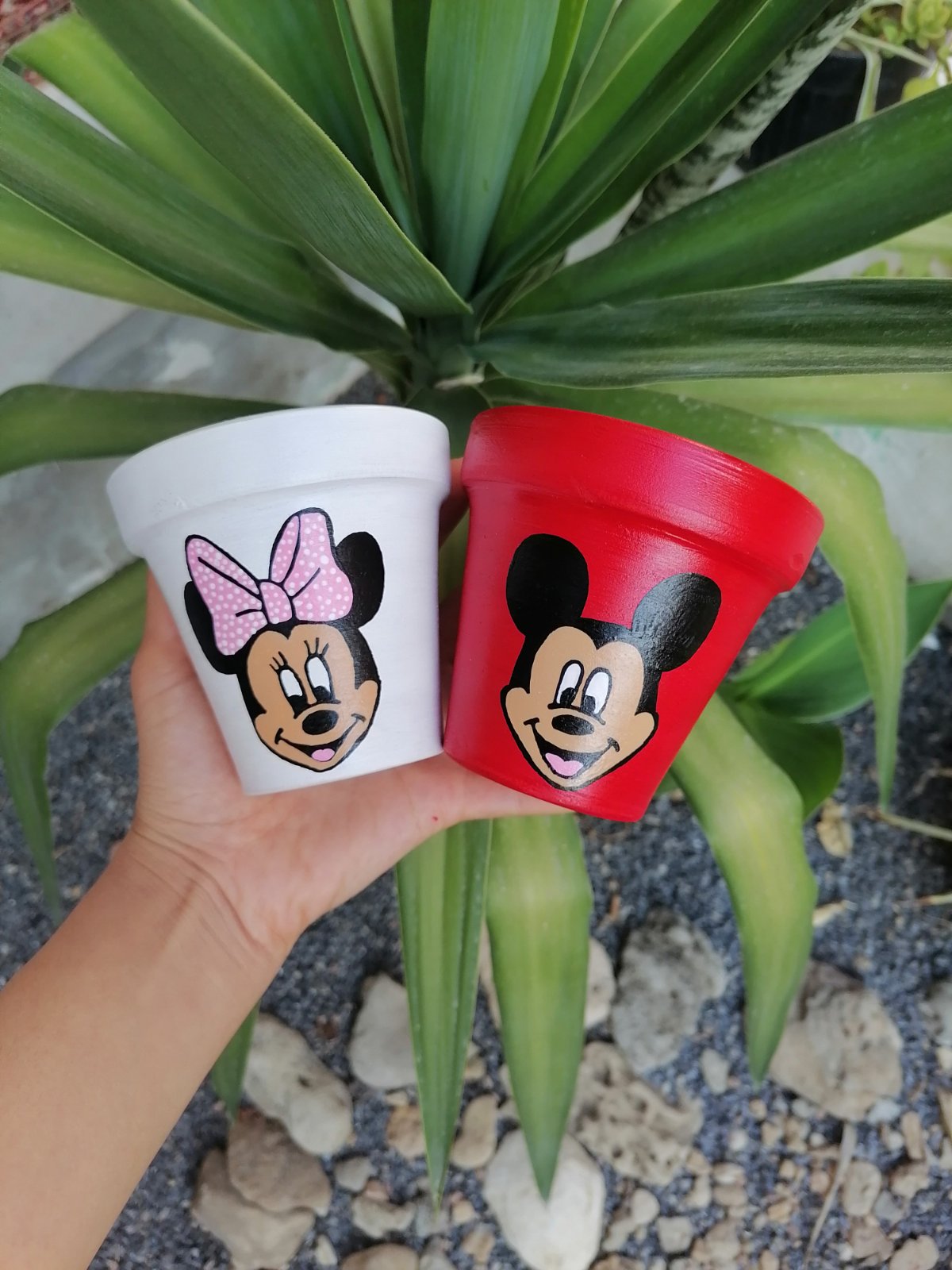 2 pots des fleurs 🌸✨ 