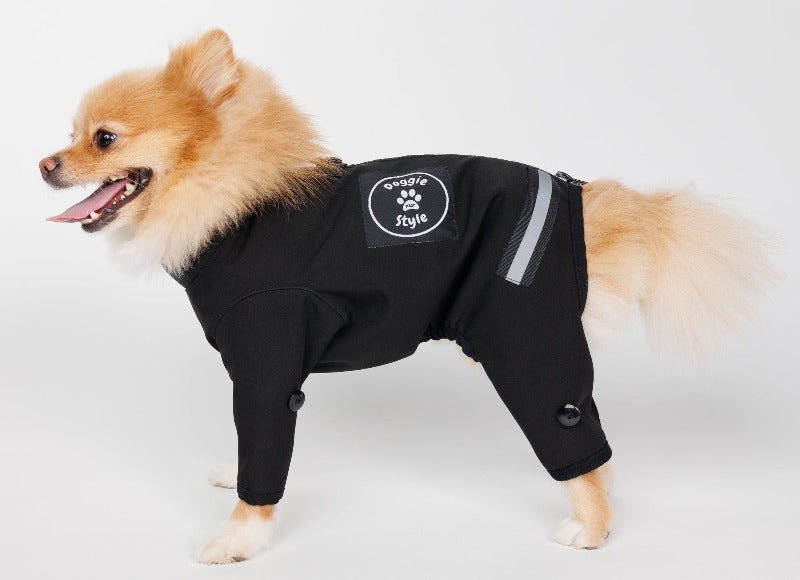 Manteau 