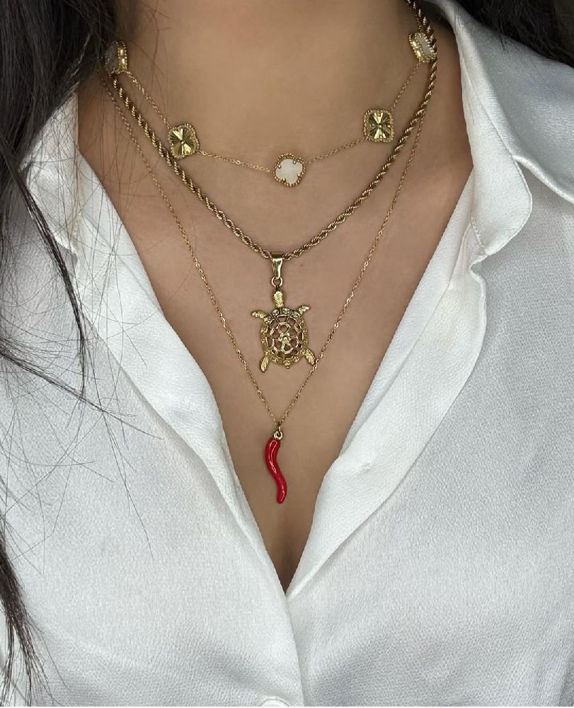 Collier en acier inoxydable felfel 🌶️