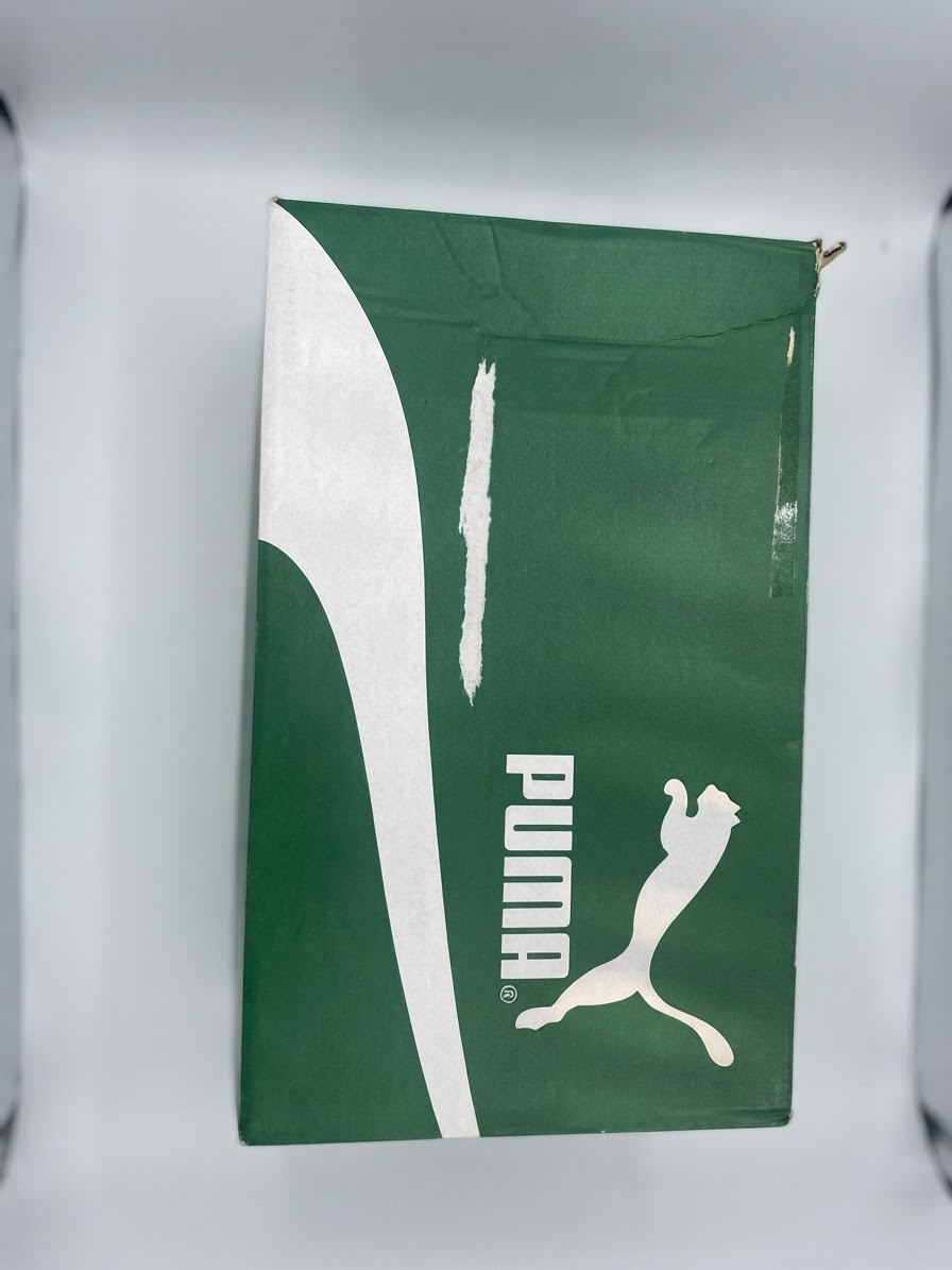 Puma palermo
