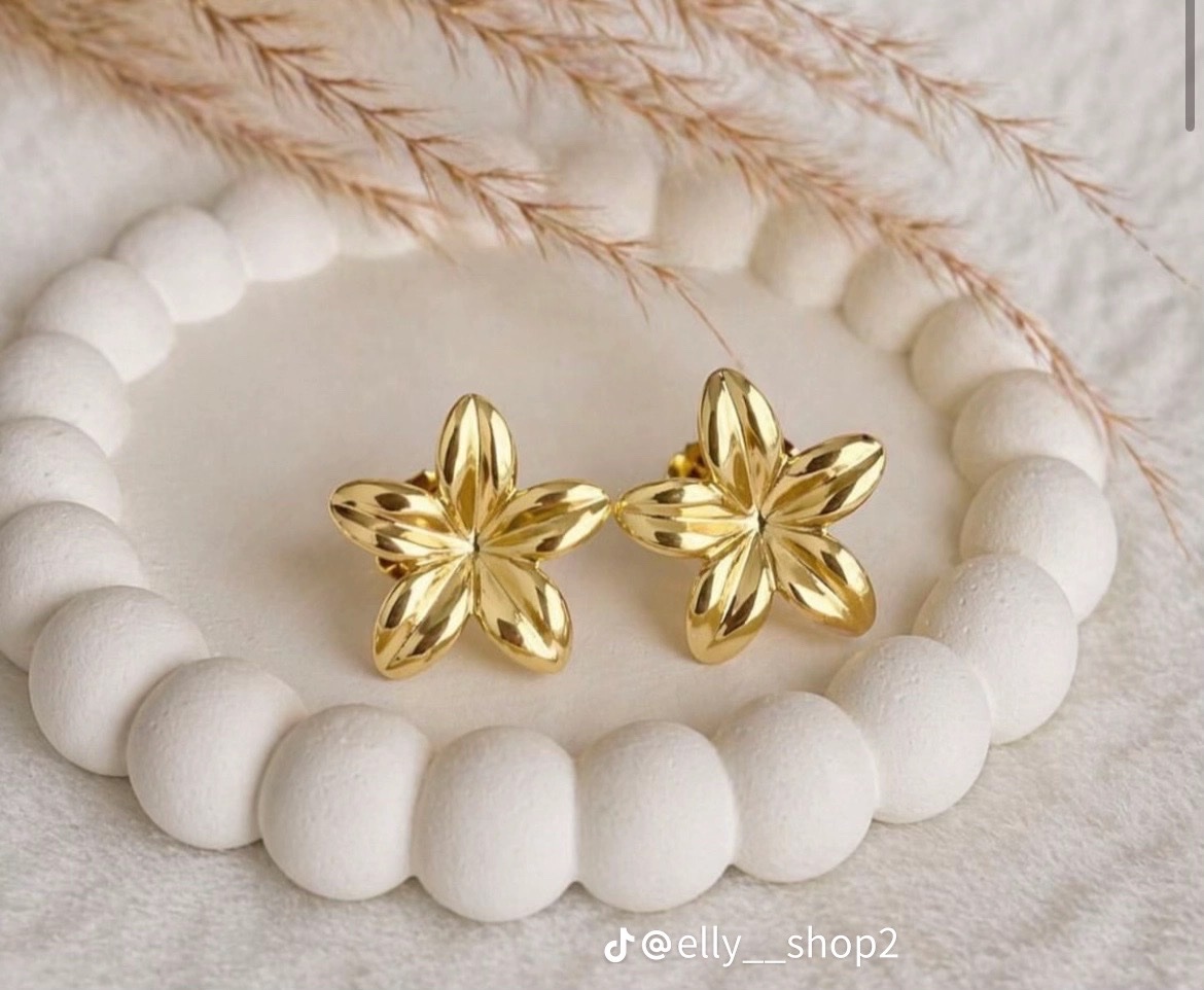 Boucles d’oreilles 