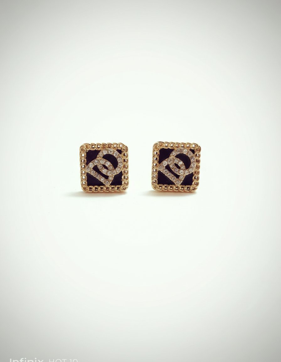 Boucles d'oreilles inoxydable 