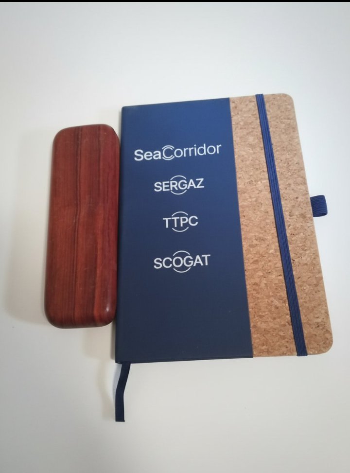 Coffret cadeau de bureau de luxe : Étui à stylo en bois massif, stylo élégant et carnet de notes en liège
