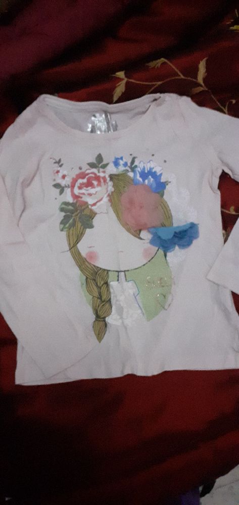 Tee-shirt TEX ROSE 