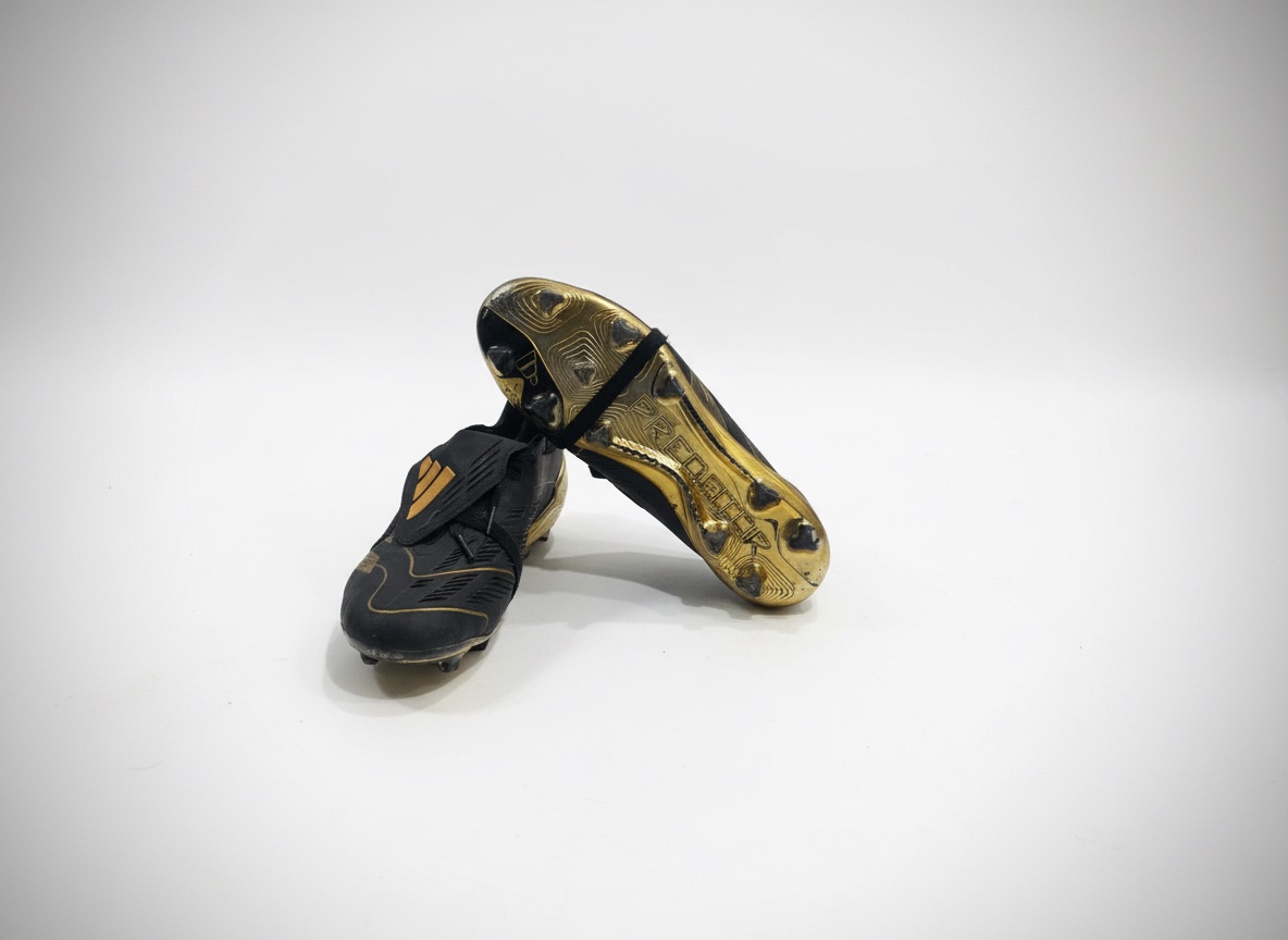 Crampon adidas predator