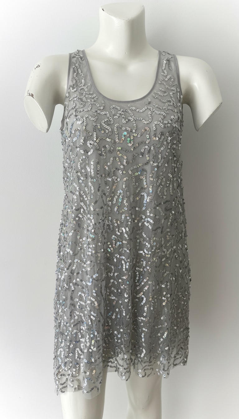 Robe argentée