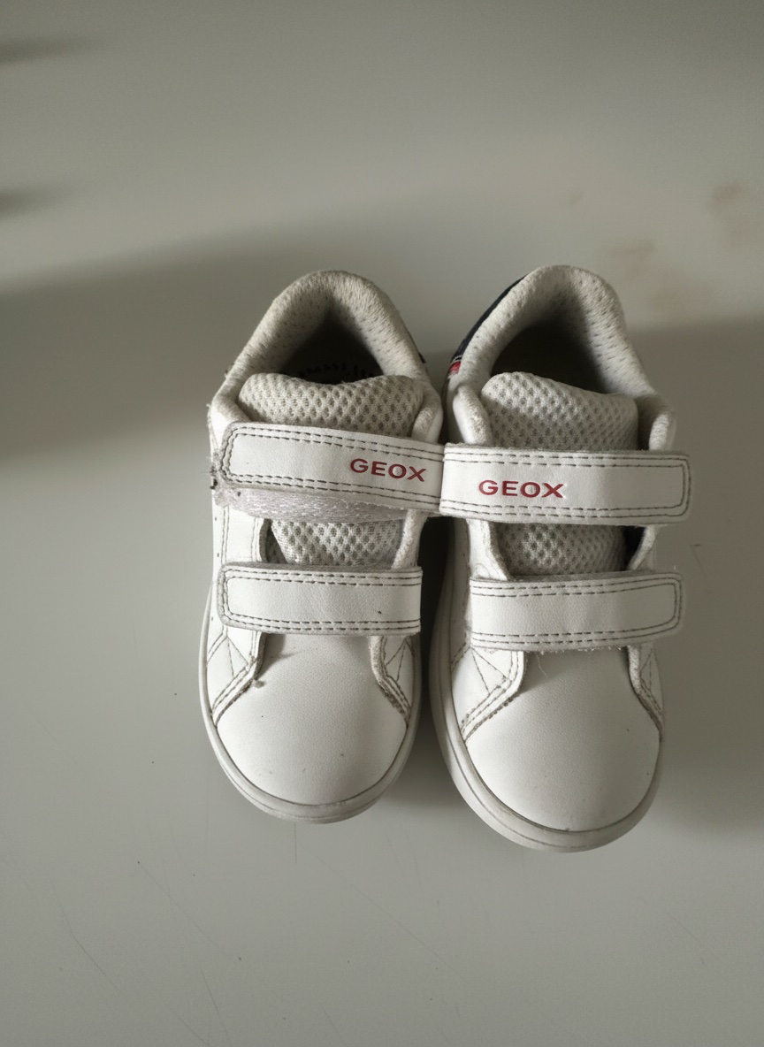 Basket geox